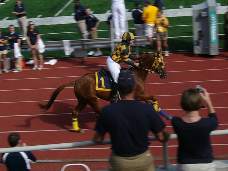 Photoalbums/Events/MSU Homecoming 2008/Racer 1's first lap